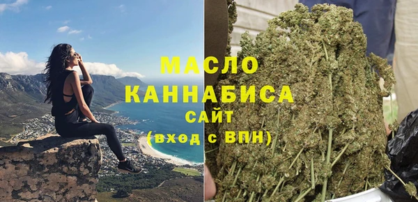 молекула духа Верхний Тагил