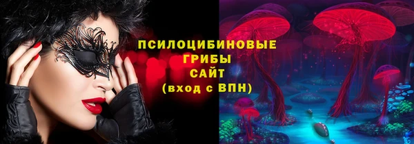 стафф Верея