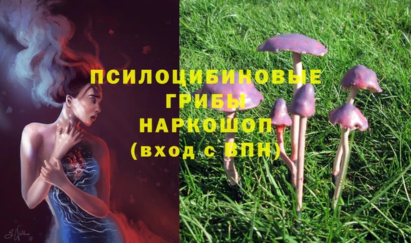 стафф Верея