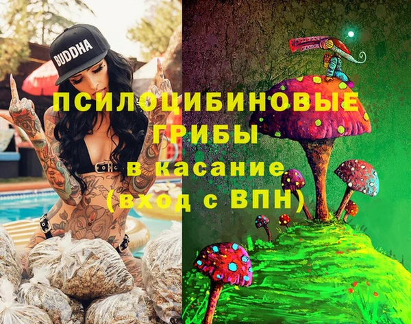 стафф Верея