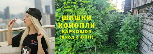 молекула духа Верхний Тагил